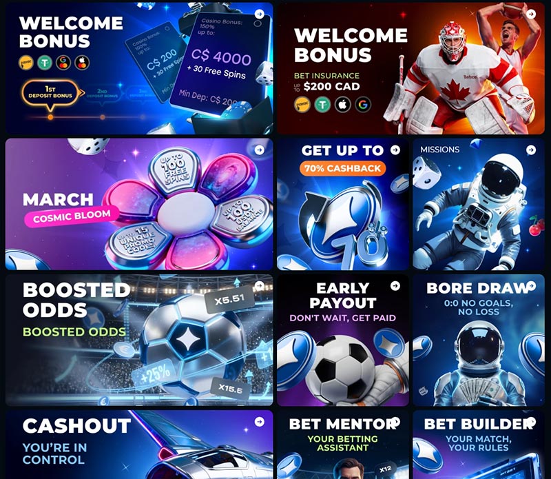 Loyalty Program and Bonuses