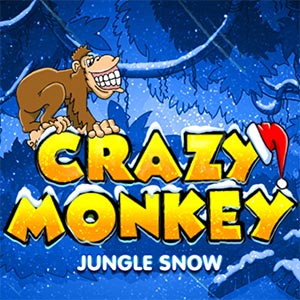 Crazy Monkey Winter