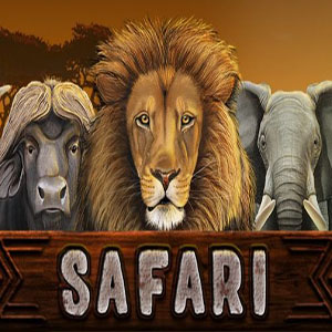 Safari